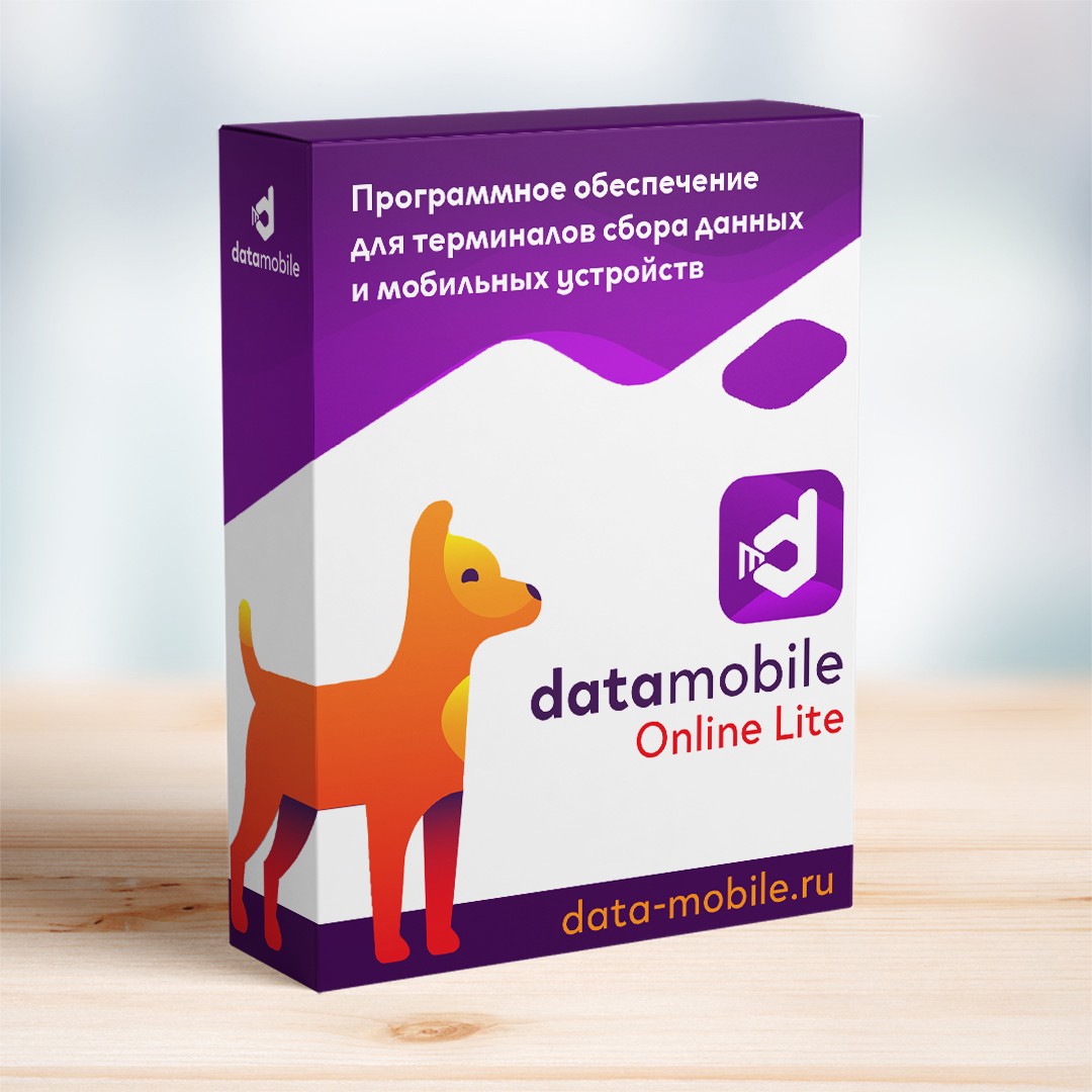 DataMobile, версия Online Lite